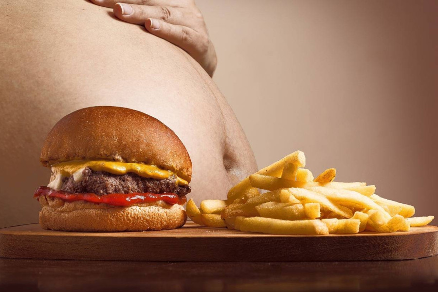 Tłuszcze zwierzęce gdzie występują i jak wpływają na dietę